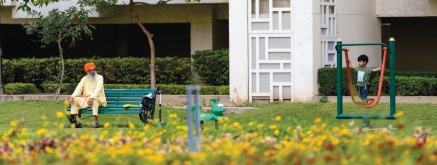 Therapeutic garden